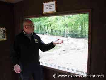 Anger as graffiti scratched into glass at Dudley Zoo animal enclosures - expressandstar.com