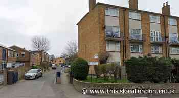 Walthamstow mum's council flat leaking for more than a year