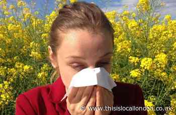 Warning as 'pollen bomb' forecast set for London