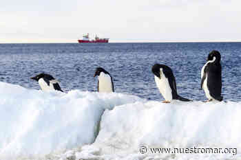 La Unión Europea se esfuerza para establecer nuevas áreas marinas protegidas en la Antártida - NUESTROMAR