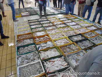 Manfredonia, arriva il fermo pesca: "Regalo all'importazione estera" - StatoQuotidiano.it