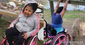 London, Ont. girl’s stolen wheelchair returned ‘completely destroyed’ family says - Global News
