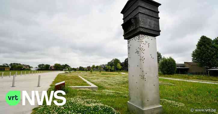 Standbeeld in Zedelgem veroorzaakt commotie, gemeente ontkent dat het eerbetoon is aan nazicollaborateurs - VRT NWS