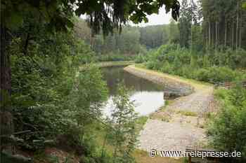 Lengenfeld greift nach komplettem Lenck-Teich - Freie Presse