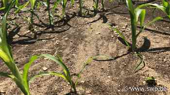 Unwetter in Ulm: Starkregen: Wann wird Einsingen endlich geschützt? - SWP