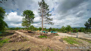 Wohnungsbau Ulm: Streit um ein Baugebiet - SWP