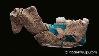 120,000-year-old fossils in Israel link to human family tree