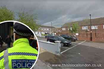 Sydenham murder: Teenager stabbed to death in evening attack