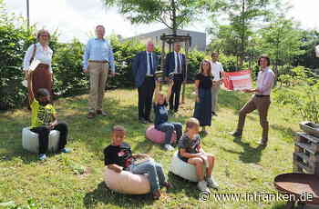Lions Club Bamberg: Großer Erlös für die Leseförderung von Kindern - inFranken.de
