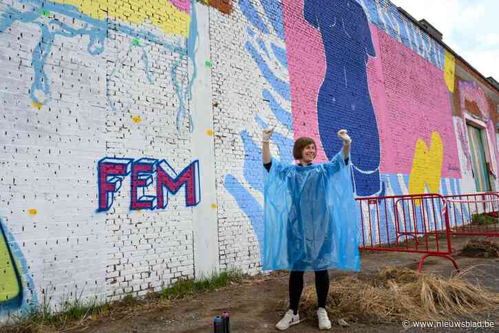 Muur slachthuissite is deze zomer vrije street art zone