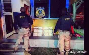 Polícia apreende 100 quilos de drogas na Via Dutra - O Dia