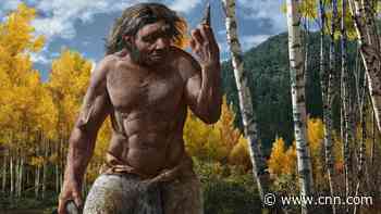 Mysterious ancient 'dragon man' joins the human family tree