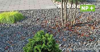 Hemmingen: Stadt will gegen Schottergärten vorgehen - Neue Presse