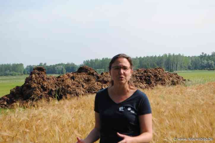 66.000 euro niet alleen voor vier perrons langs De IJzerenweg, maar voor het totaalplaatje aan werken en materieel