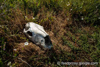 How to Survive a Climate Apocalypse