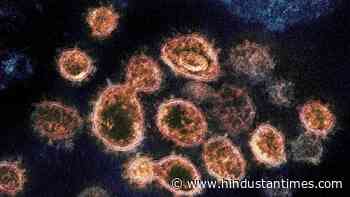 Coronavirus outbreak struck East Asia over 20,000 years ago: Study - Hindustan Times