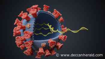 Coronavirus may have existed more than 20,000 years ago - Deccan Herald