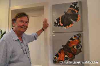 Niet op safari dit jaar? Koop dan zebra of giraf van Geert De Meyer en u waant zich op reis