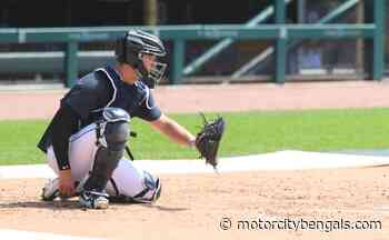 Detroit Tigers Minor League Report: Dillon Dingler hits 6th home run - Motor City Bengals