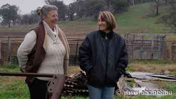 'She saved me': Friendships, family and community are the salve for bushfire trauma in Victoria's Upper Murray