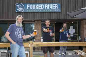 Brews News: Craft brewery, record shop give collaboration a spin - Leduc Representative