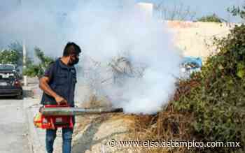 Analizan 2 muertes relacionadas al dengue en Tamaulipas - El Sol de Tampico