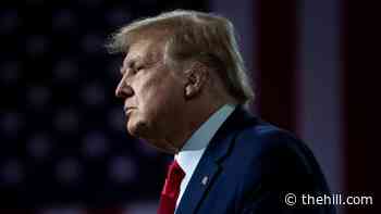 Trump slams Harris over southern border trip