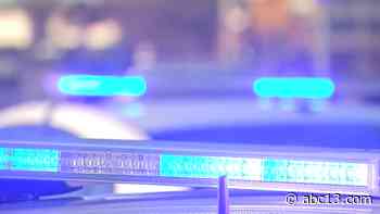 Child abuse in Houston: Melanie Harleaux charged for allegedly beating child with skillet - KTRK-TV