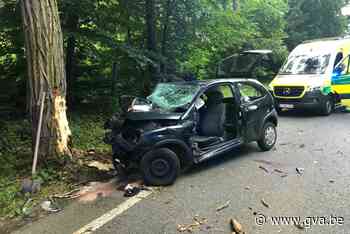 Bestuurder overleden na klap tegen boom (Kasterlee) - Gazet van Antwerpen