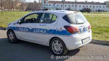 Modena. Spaccia al parco di via Amici: il cane Pit lo incastra - La Gazzetta di Modena