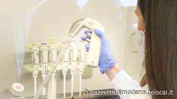 Modena. Cellule staminali per curare il Covid, il primo paziente dimesso dopo 8 giorni - La Gazzetta di Modena