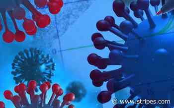 Deleted gene sequences confirm coronavirus circulated before Wuhan seafood market - Stars and Stripes