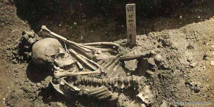 A 3,000-year-old skeleton with almost 800 injuries turns out to be the oldest shark attack victim ever found