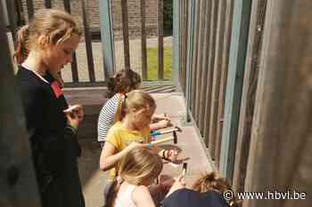 Techniek in basisschool De Boomhut (Bocholt) - Het Belang van Limburg