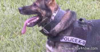 New Florida bill provides better medical attention to K9 officers in SWFL - Fox 4