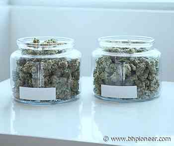 Health officials release proposed medical marijuana rules | Local News | bhpioneer.com - Black Hills Pioneer