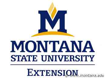 MSU Extension releases revised MontGuide about Montana Medical Care Savings Accounts - Montana State University