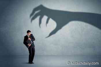 Profiting on Crisis: How Shadow Banks Have Exploited the COVID-19 Pandemic