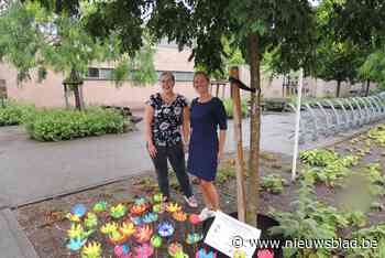 Een geknutselde bloem plukken voor een mantelzorger (Wuustwezel) - Het Nieuwsblad