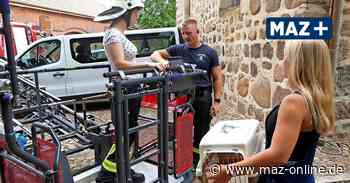 Turmfalke an der Marienkirche in Bad Belzig ist wieder obenauf - Märkische Allgemeine Zeitung