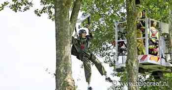 Parachutist Melle belandt in boom: 'Ineens hing ik daar' - Telegraaf.nl