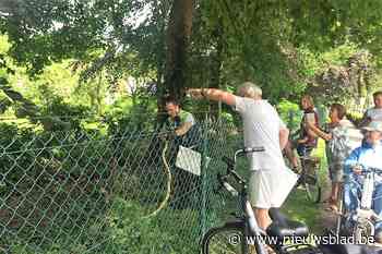 Agent vangt ontsnapte python in centrum Brasschaat
