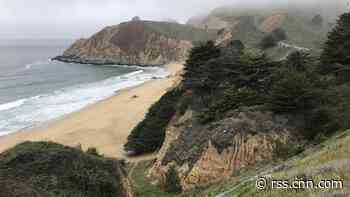 Man hospitalized in serious condition after shark bite in Northern California