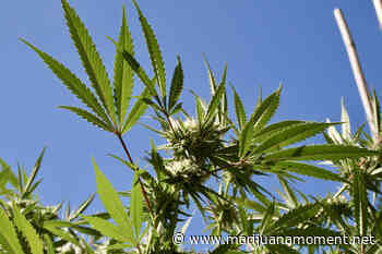 Rhode Island House Speaker Says Marijuana Legalization Can't Be Rushed After Senate Vote - Marijuana Moment