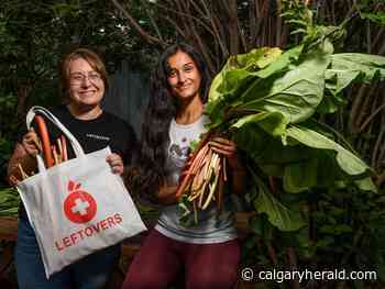 Home harvest program launches in Calgary to connect backyard growers to local agencies - Calgary Herald