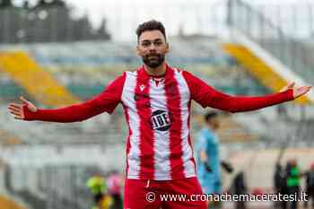 Matelica Ancona, il primo tassello è la conferma di Federico Moretti - Cronache Maceratesi