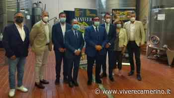 Il vicepresidente della Regione a Matelica: focus su Verdicchio e prodotti del territorio - Vivere Camerino