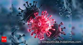 Watch out for four emerging variants of coronavirus, warn health experts - Times of India