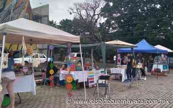 “Nenis” llevan a cabo Expo en Parque Siqueiros de Cuernavaca - El Sol de Cuernavaca