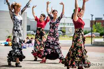 Samina van 'De Mol' verrast met flashmob met haar flamencoschool - Het Belang van Limburg